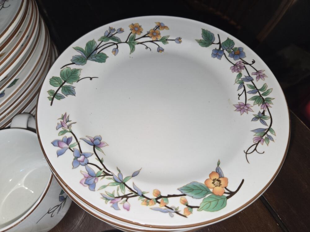 Woodhill by Citation Set of 6 Dinner Plates Floral White China Brown Trim 10.5"